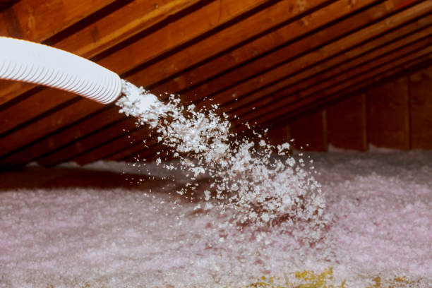 Best Types of Insulation in Peshtigo, WI